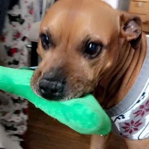 Meet your Posher, Ava